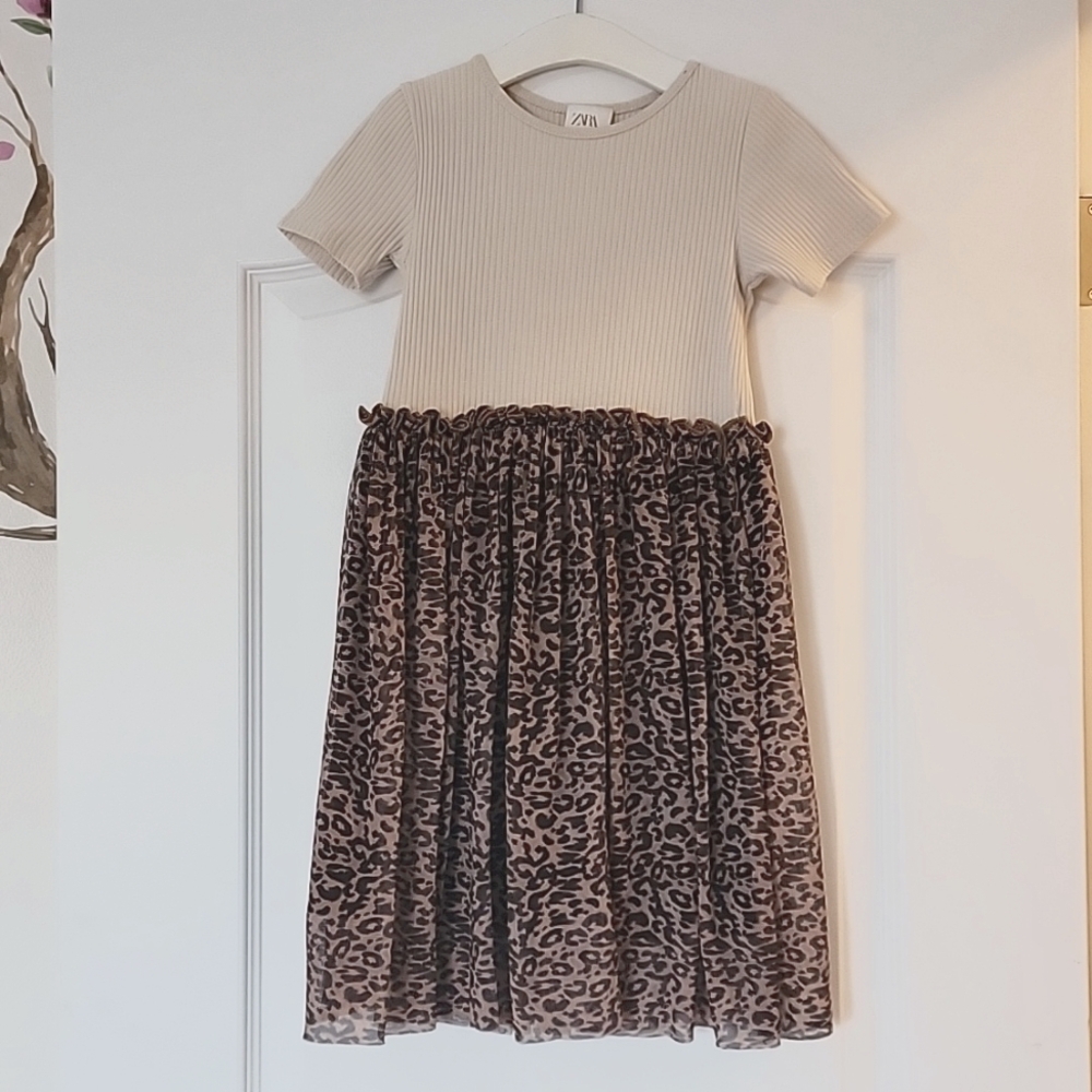 Zara Dress